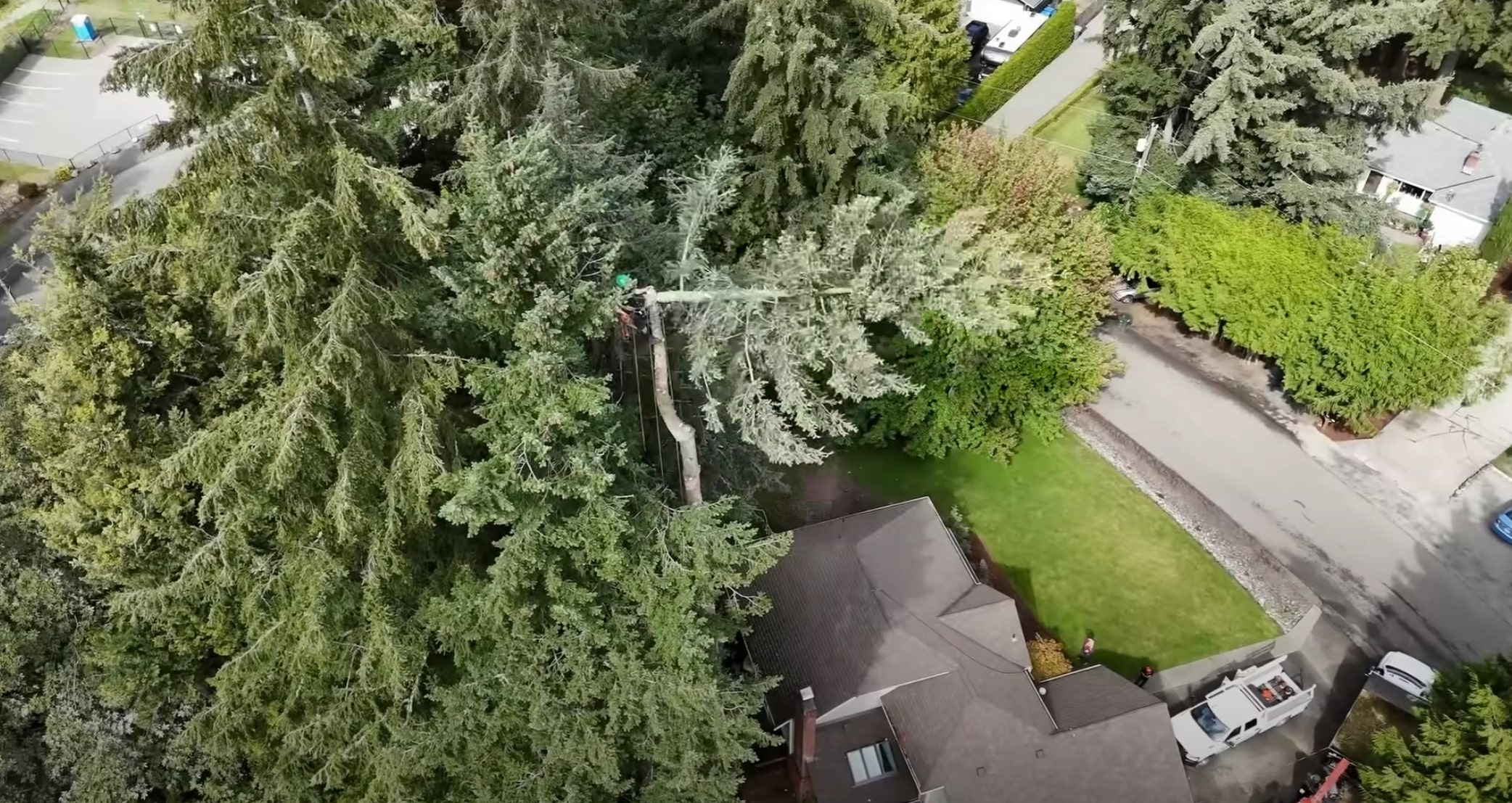 Professional tree trimming near residential property in Tooele, UT