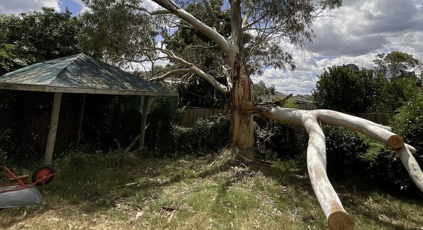 Storm Cleanup & Debris Removal in Tooele, UT